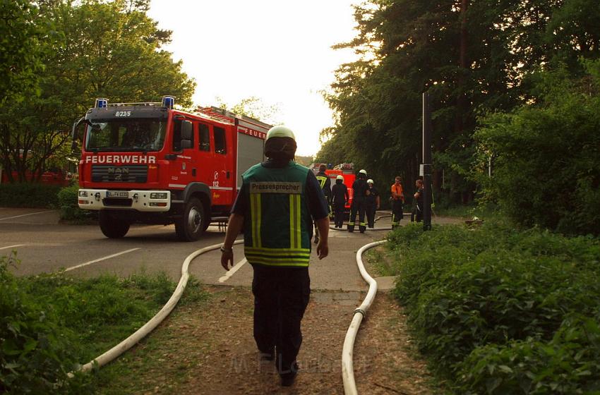 Waldbrand Bergisch Gladbach Bensberg P202.JPG